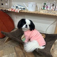 eikoさんのプロフィールアイコン
