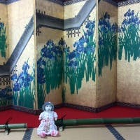 ソフさんのプロフィールアイコン