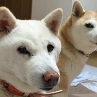 カズヒロさんのプロフィールアイコン