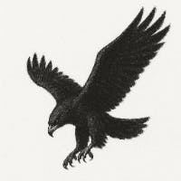 SATOMI koさんのプロフィールアイコン