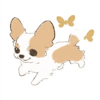 うめさんのプロフィールアイコン