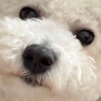 まるおさんのプロフィールアイコン