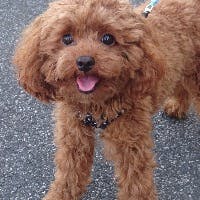 ゆうすけさんのプロフィールアイコン