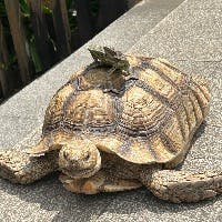 バットマンさんのプロフィールアイコン
