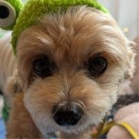 ken matsさんのプロフィールアイコン