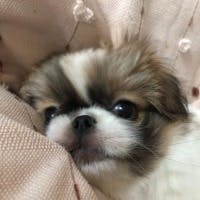 iwano teruyukiさんのプロフィールアイコン
