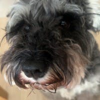 まるおさんのプロフィールアイコン