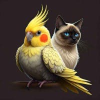 すずーさんのプロフィールアイコン
