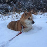 能瀬秀二さんのプロフィールアイコン