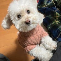 美田昌宏さんのプロフィールアイコン