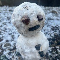 noriさんのプロフィールアイコン