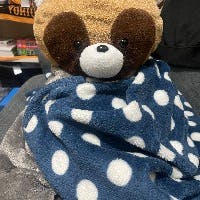 かくにきさんのプロフィールアイコン