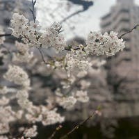 ひろたんさんのプロフィールアイコン