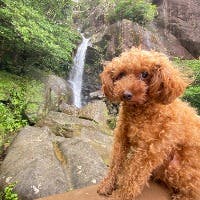 田中　豪さんのプロフィールアイコン