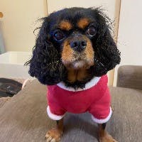 やすさんのプロフィールアイコン