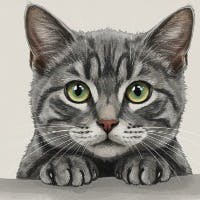 ハレスキさんのプロフィールアイコン