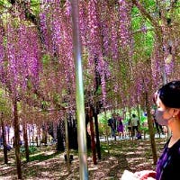 kokoUさんのプロフィールアイコン