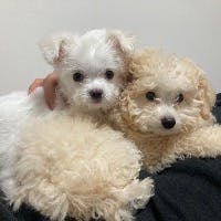 安達　和俊さんのプロフィールアイコン