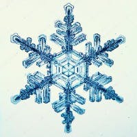 SnowIさんのプロフィールアイコン