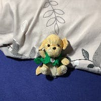 Ryomaさんのプロフィールアイコン