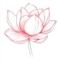 Noriさんのプロフィールアイコン