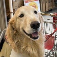 KAJIURAさんのプロフィールアイコン