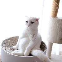 かすみんさんのプロフィールアイコン