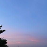 中村　沙柚さんのプロフィールアイコン