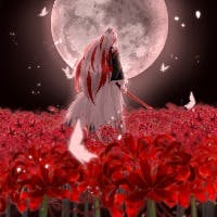 hinaさんのプロフィールアイコン