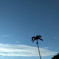 八巻　弘子さんのプロフィールアイコン