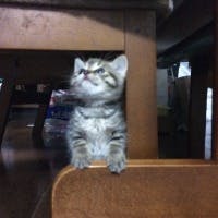 ジュノさんのプロフィールアイコン