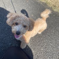 ミカリンさんのプロフィールアイコン