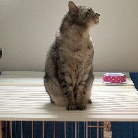 YASUさんのプロフィールアイコン
