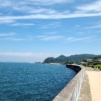 やんうぇんりーさんのプロフィールアイコン