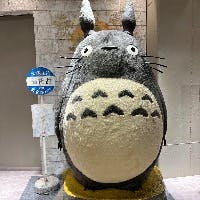髙松富佐子さんのプロフィールアイコン