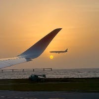 320さんのプロフィールアイコン