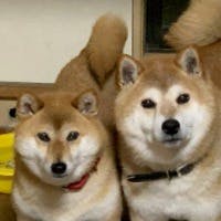楽ちゃんさんのプロフィールアイコン