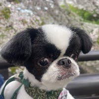 荻野賀子さんのプロフィールアイコン