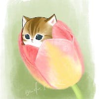 綾駕さんのプロフィールアイコン