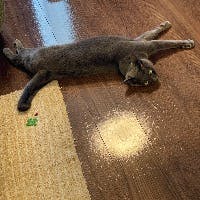 えりたすさんのプロフィールアイコン