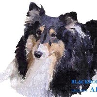 あれっくすさんのプロフィールアイコン