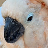 htakanさんのプロフィールアイコン