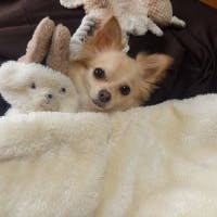 はみさんのプロフィールアイコン