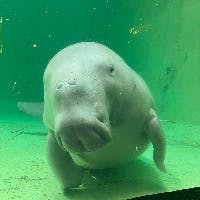 Chiakiさんのプロフィールアイコン