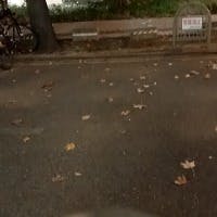 キハヤさんのプロフィールアイコン