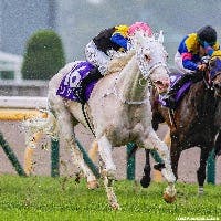 ソダシさんのプロフィールアイコン