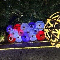 shikiさんのプロフィールアイコン