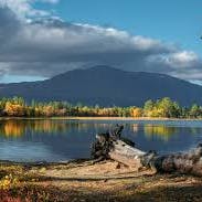 dominikGonzales1938さんのプロフィールアイコン