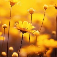 Hitomi.Mさんのプロフィールアイコン