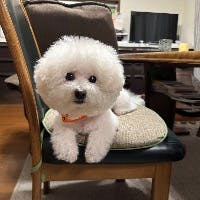 たみママさんのプロフィールアイコン